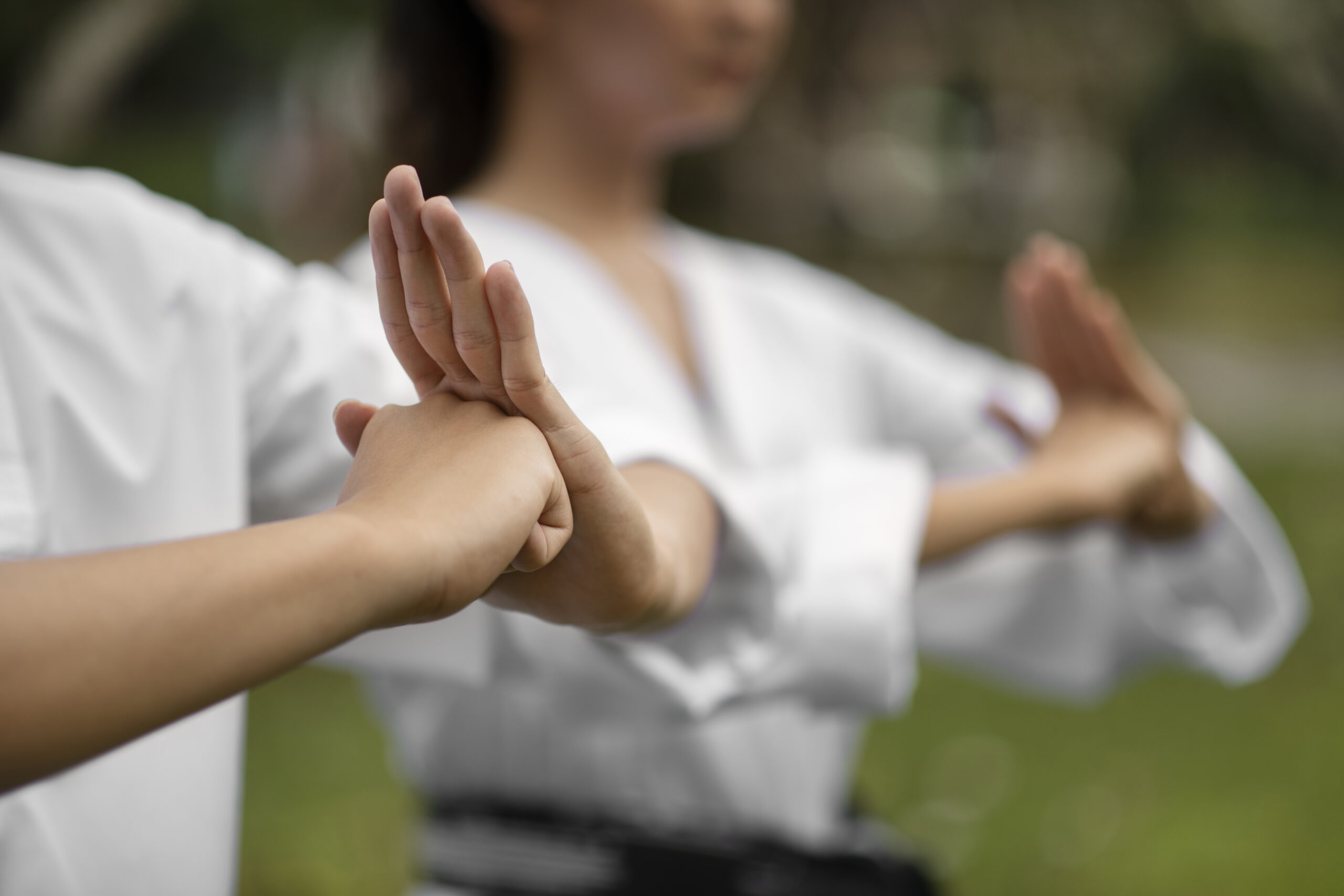 Seminario WingChun